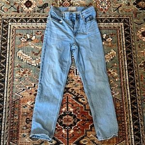 Everlane The Original Cheeky Jean 27 Sky Blue